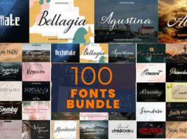 100+ Fonts Bundle