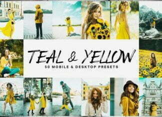 CreativeMarket - 50 Teal & Yellow Lightroom Presets