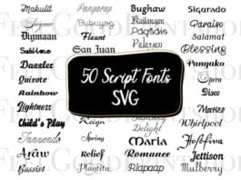 50 Script Fonts Bundle