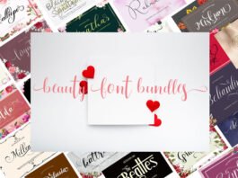 Beauty Font Bundle