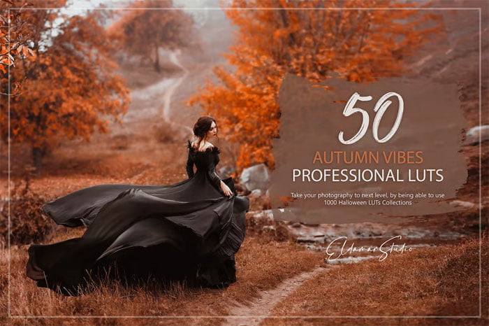 50 Autumn Vibes LUTs and presets