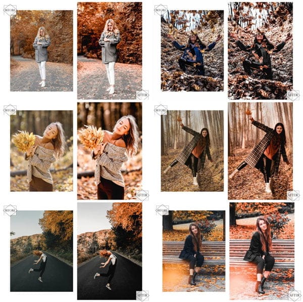 12 Photoshop Actions Autumn Dance 12 Actions Autumn Dance