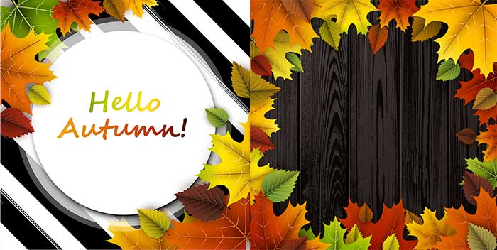 Autumn leaves Wooden Background