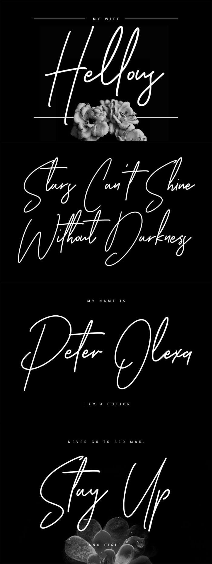 CreativeMarket - Ansterdam Clean Signature Font Ansterdam Clean Signature Font