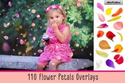 CreativeMarket - Flower Petals Photo Overlays