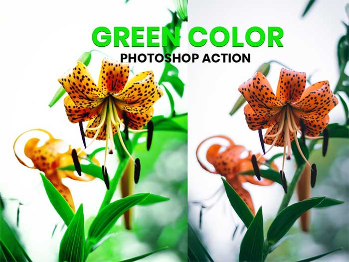 CreativeMarket - Green Color Photoshop Action Green Color Photoshop Action