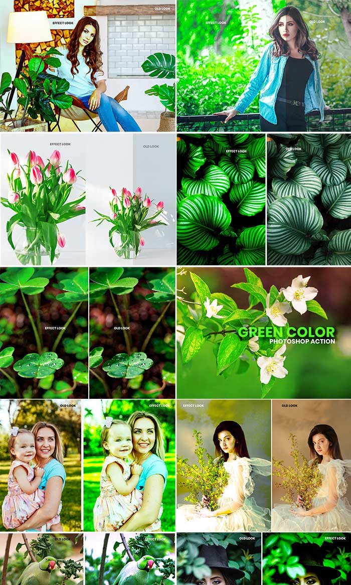 CreativeMarket - Green Color Photoshop Action Green Color Photoshop Action