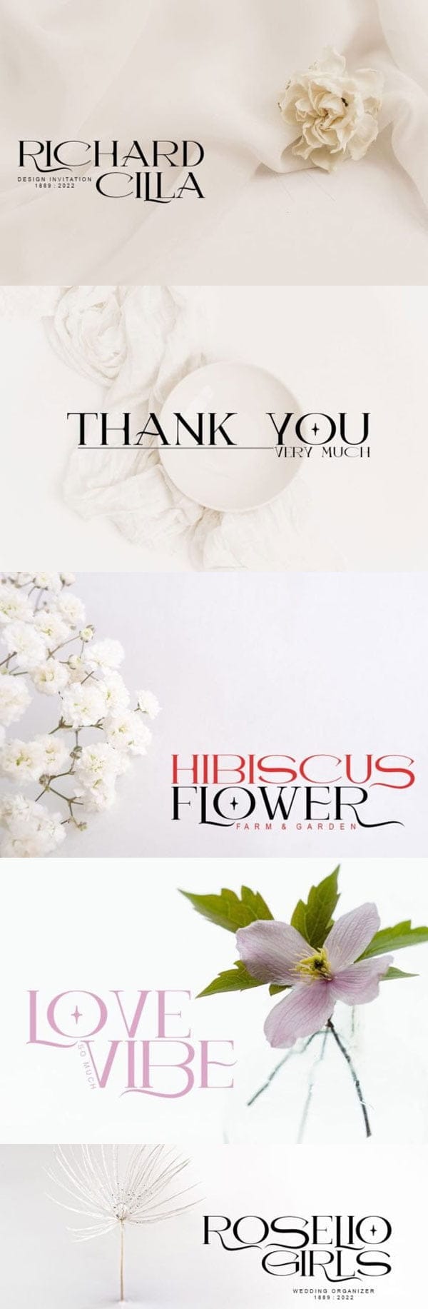 Creativefabrica - Delao Qord Fonte Delao Qord Fonte