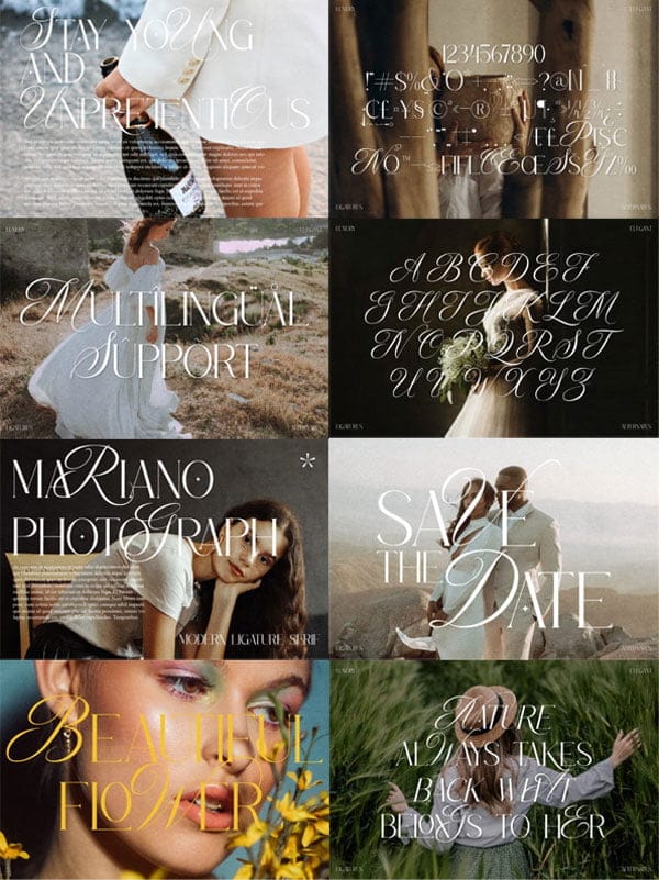 Creativefabrica - Merqola Nature Font Merqola Nature Font