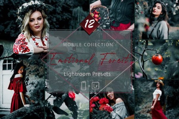 12 Mobile Lightroom Emotional Forest 12 Mobile Lightroom Emotional Forest