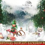 150 Christmas Overlays