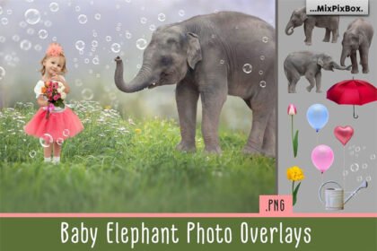 Baby Elephant Photo Overlays