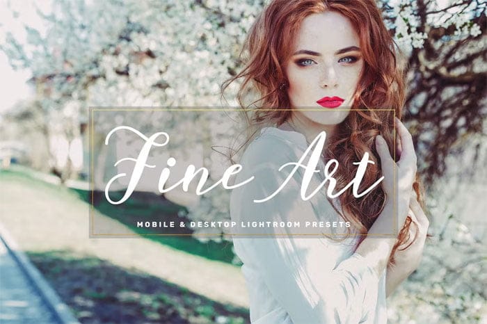Fine Art Mobile and Desktop Lightroom Presets Fine Art Mobile Desktop Presets