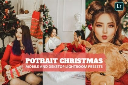 Portrait Christmas Lightroom Presets Desktop Mobile