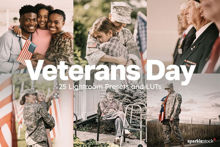 Veterans Day Presets LUTs