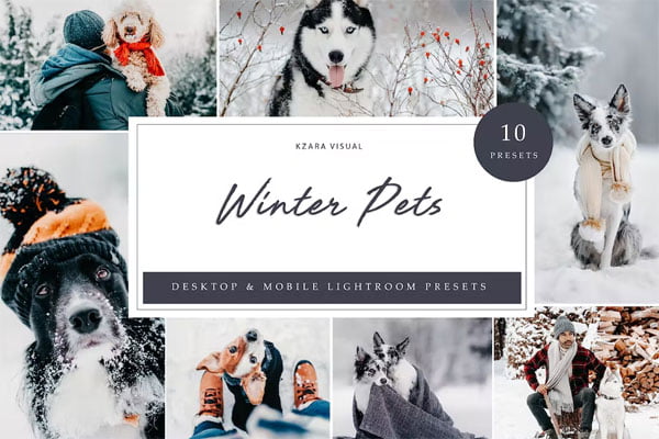 10 x Lightroom Presets Winter Pets Presets
