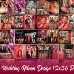 20 Indian Wedding Album Design 12x36 PSD Templates