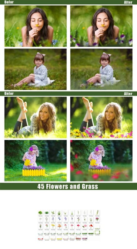 45 Grass and Flowers Photo Overlays 45 Grass and Flowers Overlays