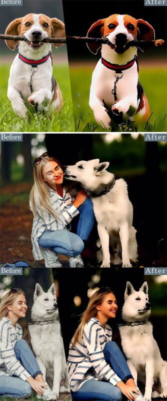 Cartoonize Photoshop Action Free Download Cartoonize Photoshop Action