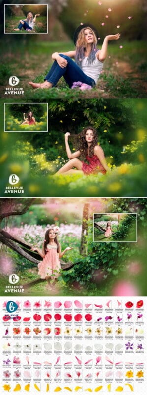 Flower Petal Overlays (Real) Flower Petal Overlays (Real)