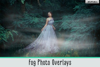 Fog Photo Overlays