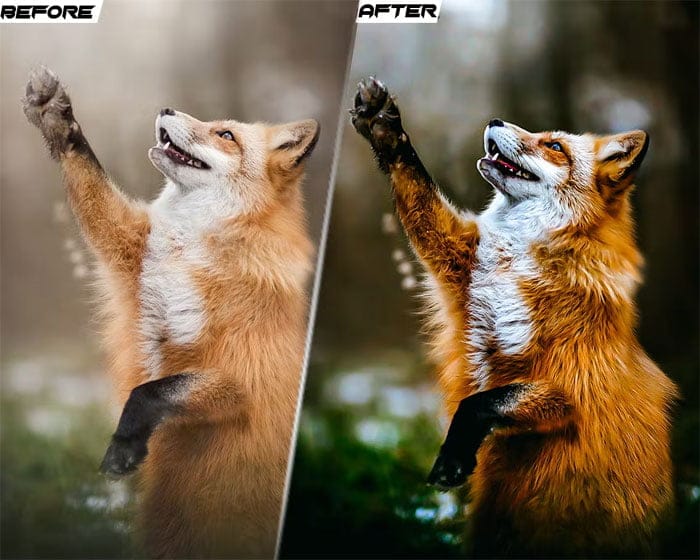 PRO Presets V.58 Photoshop & Lightroom PRO Presets V.58 Lightroom