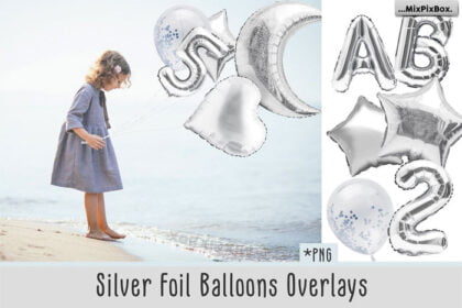 Silver Foil Balloons Photo Overlays