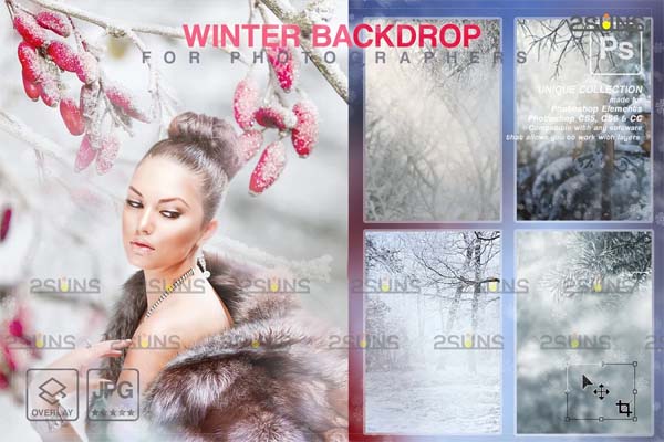Winter Backdrops Tree Branches