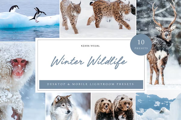 10 x Presets Winter Wildlife Presets
