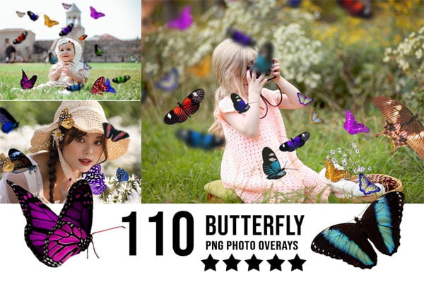 110 Butterfly Overlay