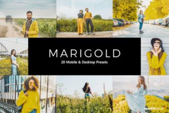 20 Marigold Presets & LUTs