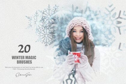 20 Winter Magical Brushes