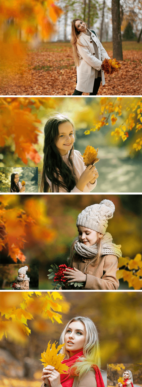 30 Autumn Branch Photo Overlays 30 Autumn Branch Overlays
