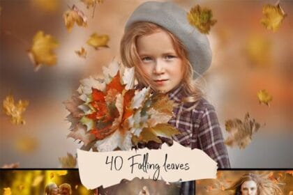 40 Autumn Falling Leaves Overlays