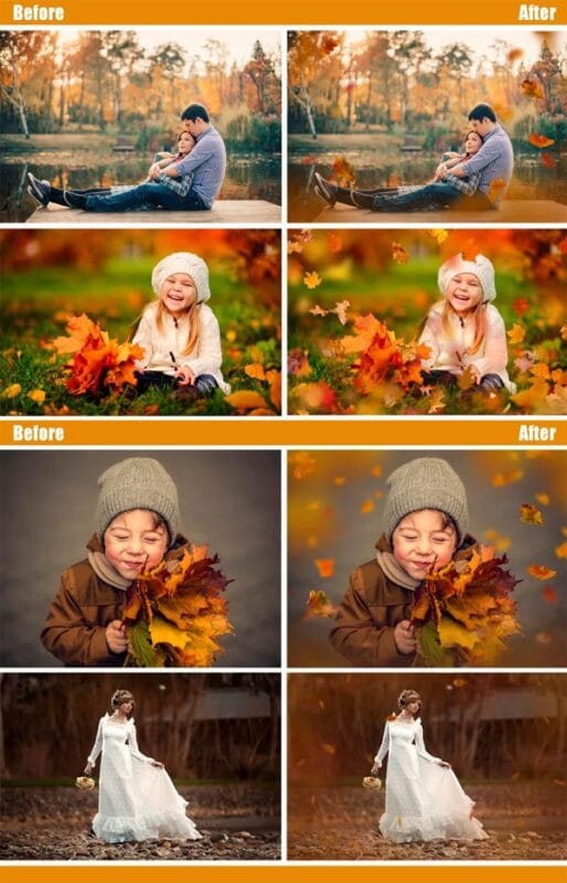 40 Autumn Leaves Photo Overlays 40 Autumn Leaves Overlays