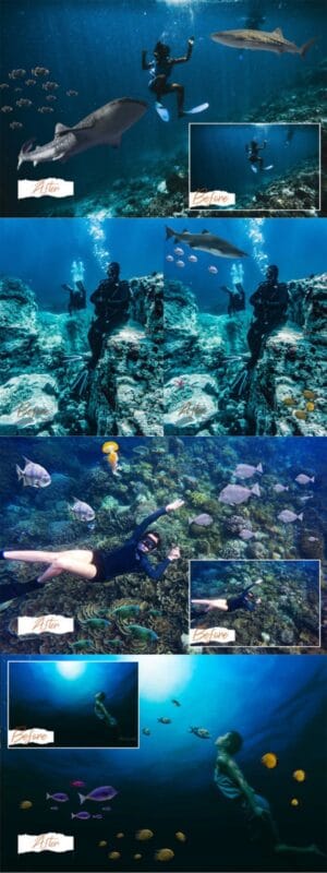 40 Sea Fish PNG Overlays 40 Sea Fish PNG Overlays