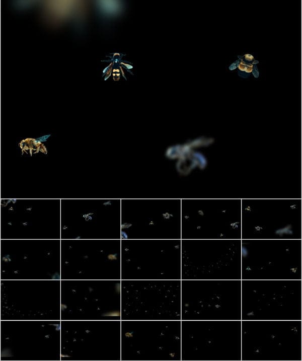 5K Bees - Dark version Overlays 5K Bees - Dark version