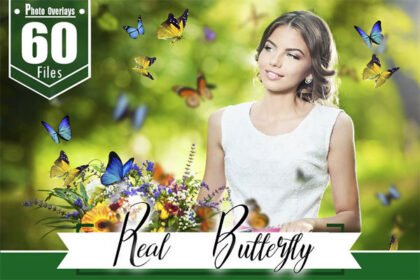 60 Butterfly Overlays