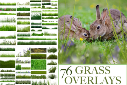 76 PNG Grass Overlays