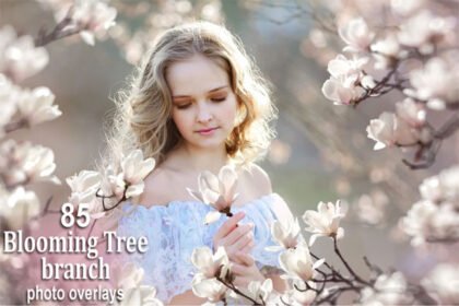85 Blooming Tree And Flower Branches