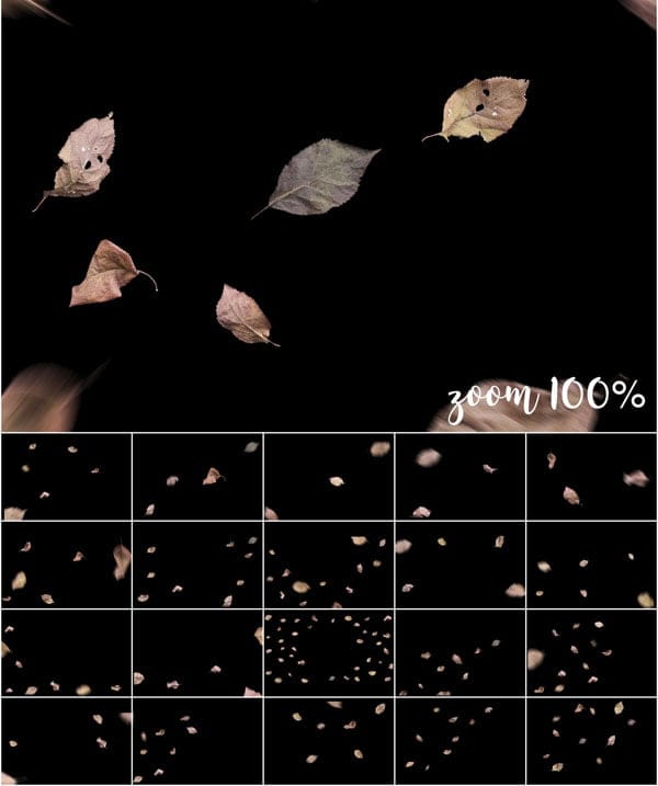 Autumn Leaves Png Overlay Autumn Leaves