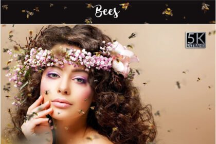 Bees Png Overlay