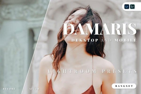 Damaris Lightroom Presets Damaris Lightroom Presets