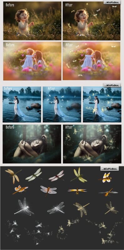 Dragonfly Overlays Free Download Dragonfly Overlays