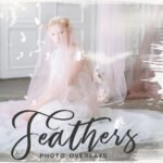 Falling Feathers PNG Overlays