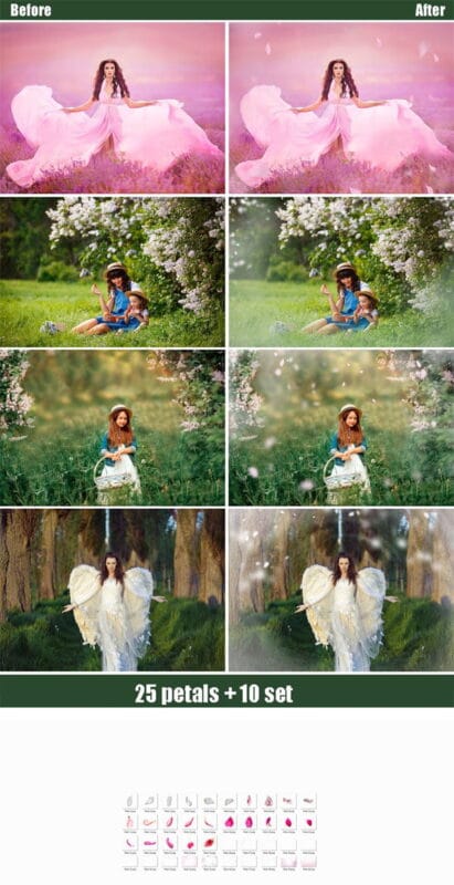 Falling Petals Photo Overlays PNG Pack Falling Petals Photo Overlays