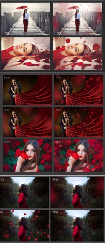 Falling Rose Petals Photo Overlays Falling Rose Petals Photo Overlays