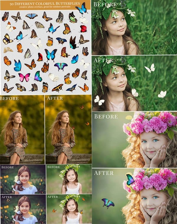 Flutter By Butterflies Photo Overlays Flutter By Butterflies Photo Overlays
