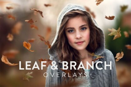 Leaf & Branch Overlays