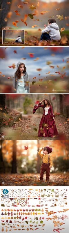 Leaf & Branch Overlays Free Download Leaf & Branch Overlays